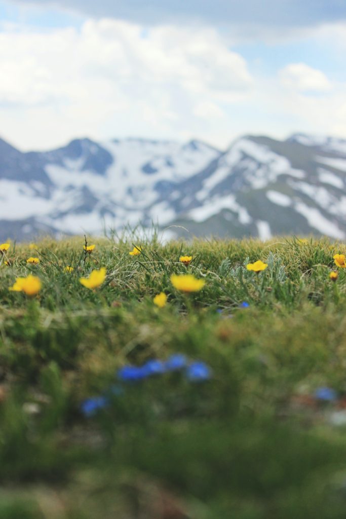 What to do in Breckenridge