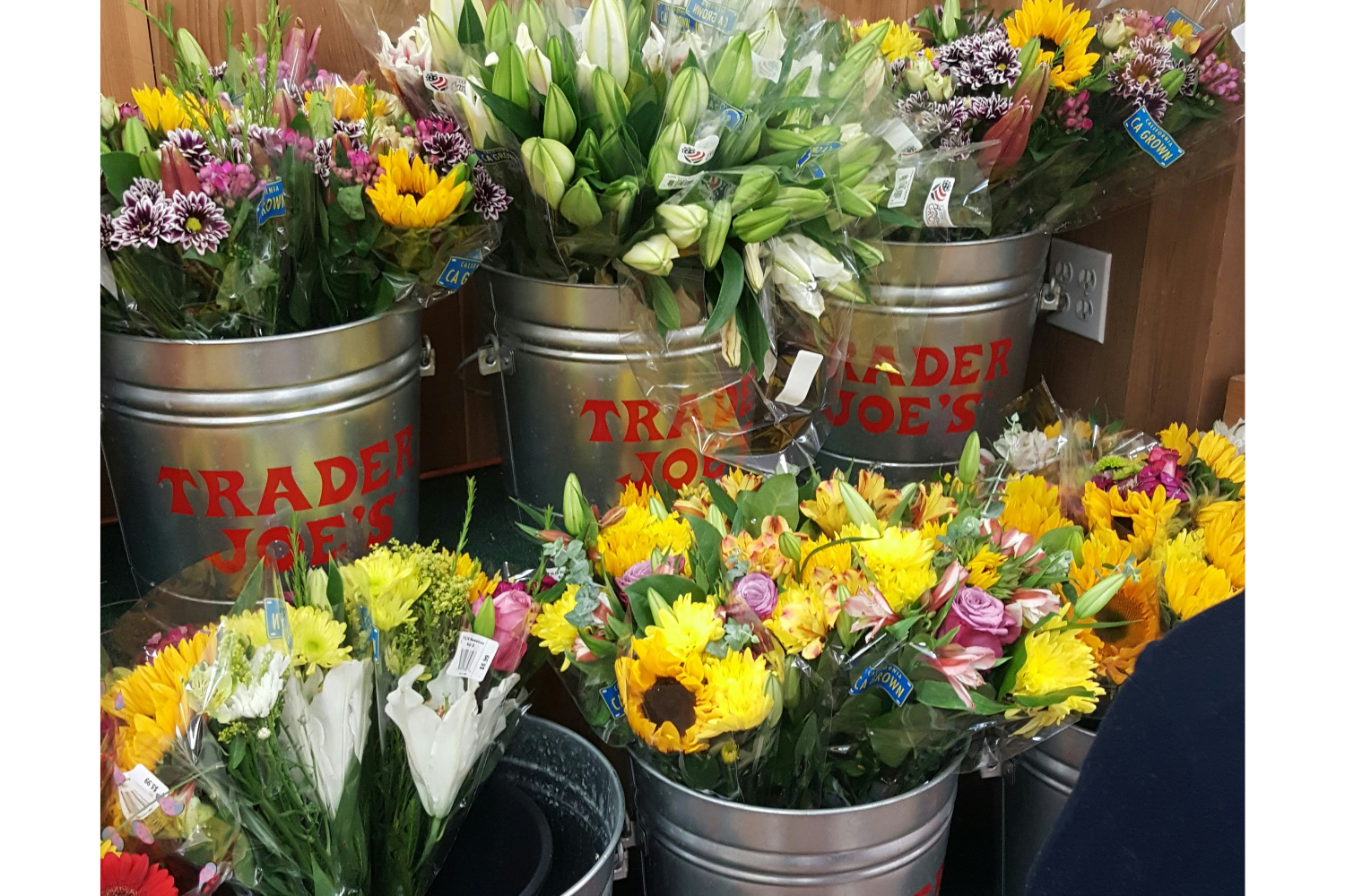 Trader Joe's