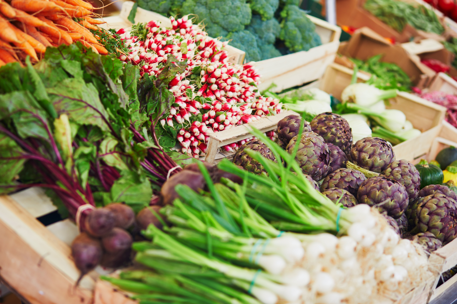 Farmer's Market in Paris