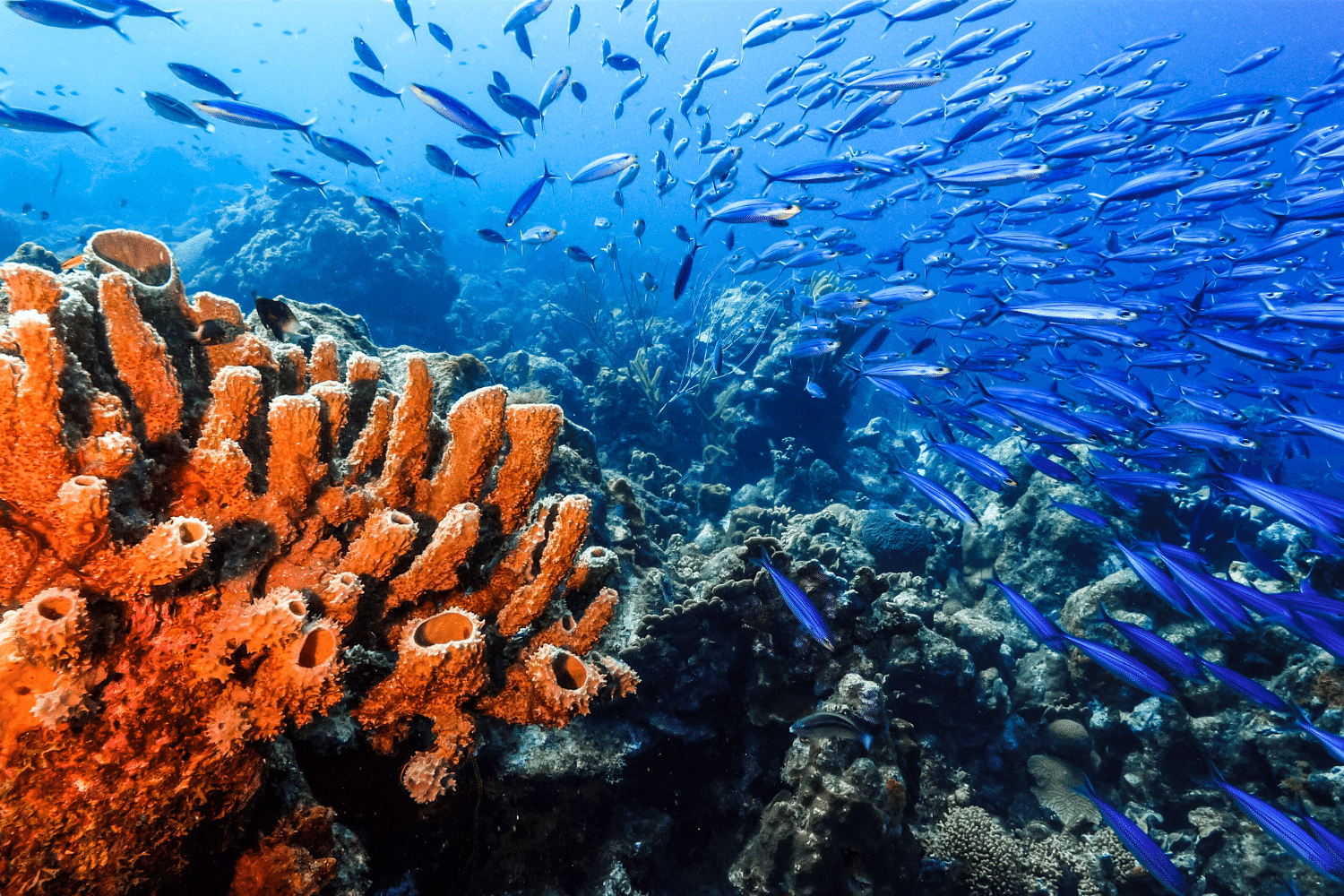 sustainable travel guide