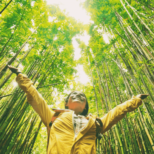 sustainable travel guide