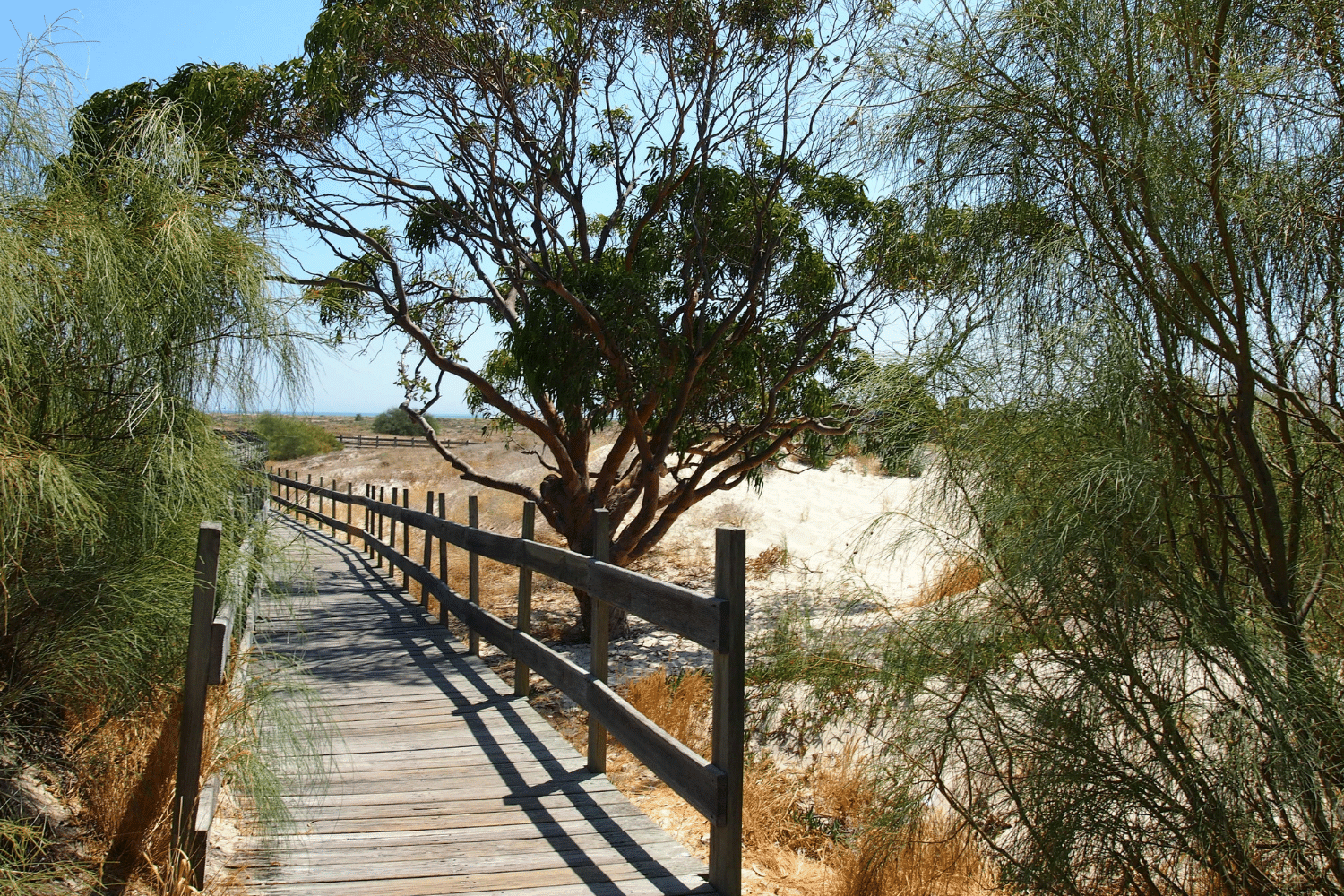 troia walk