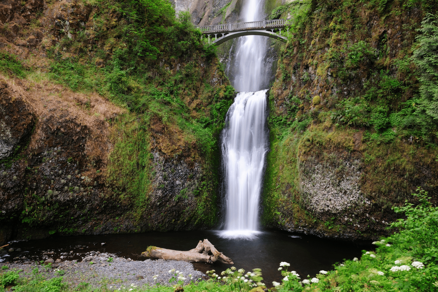 multnomah falls