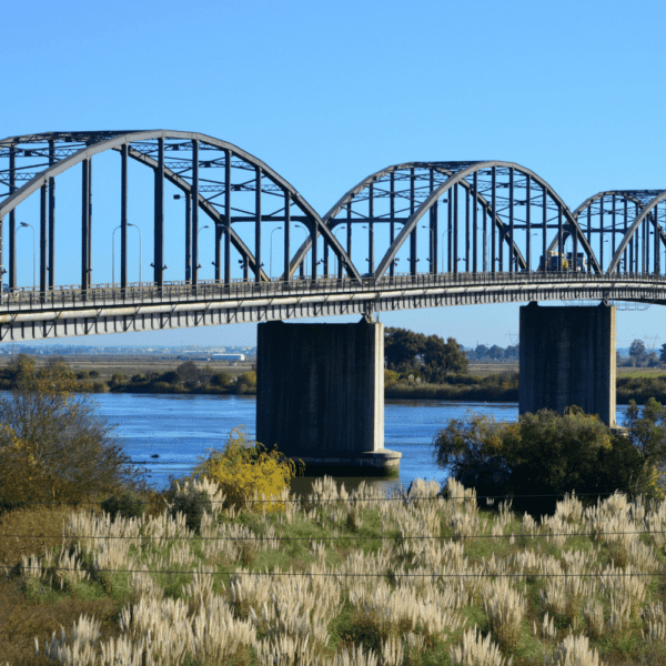 vila franca de xira bridge