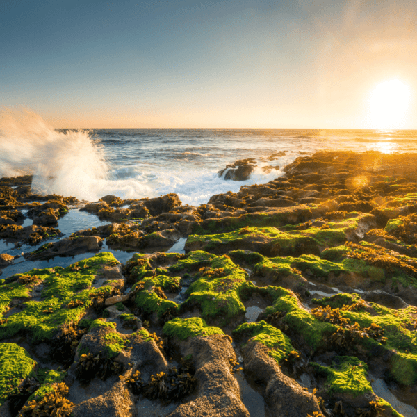 ericeira beach