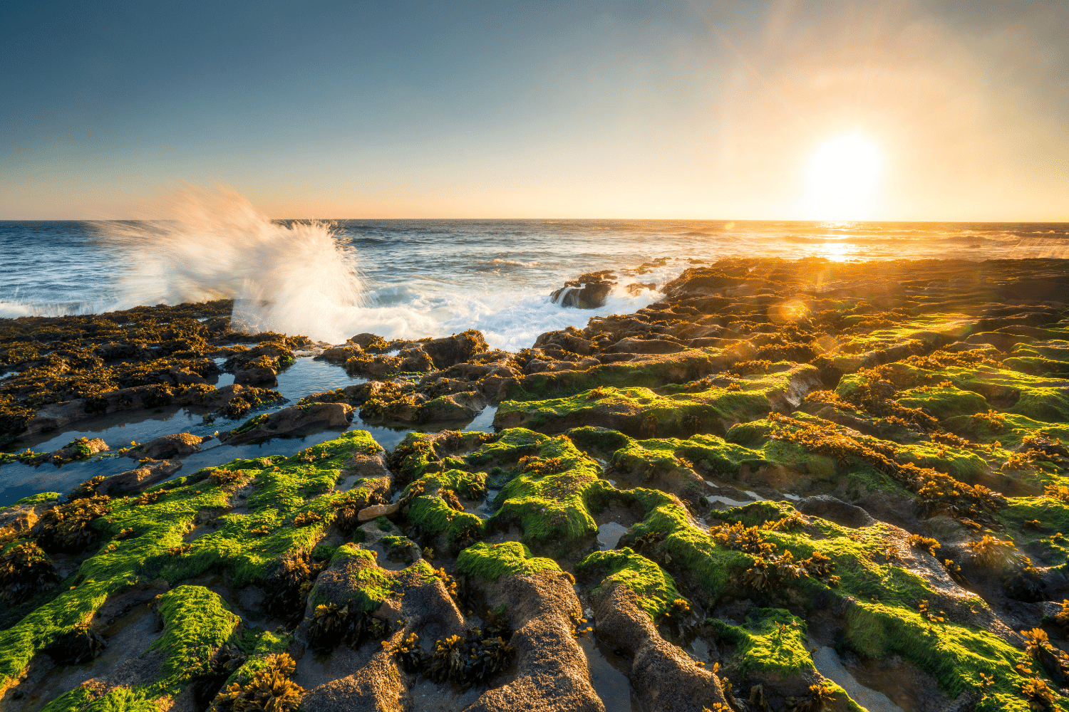ericeira beach