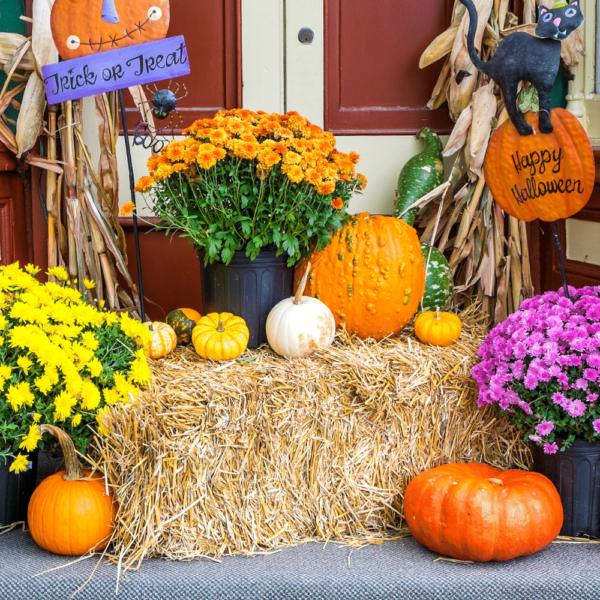 eco-friendly Halloween