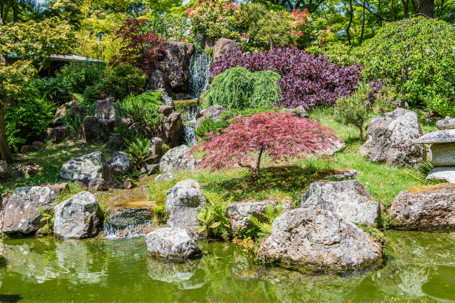 Best things to do in San Francisco