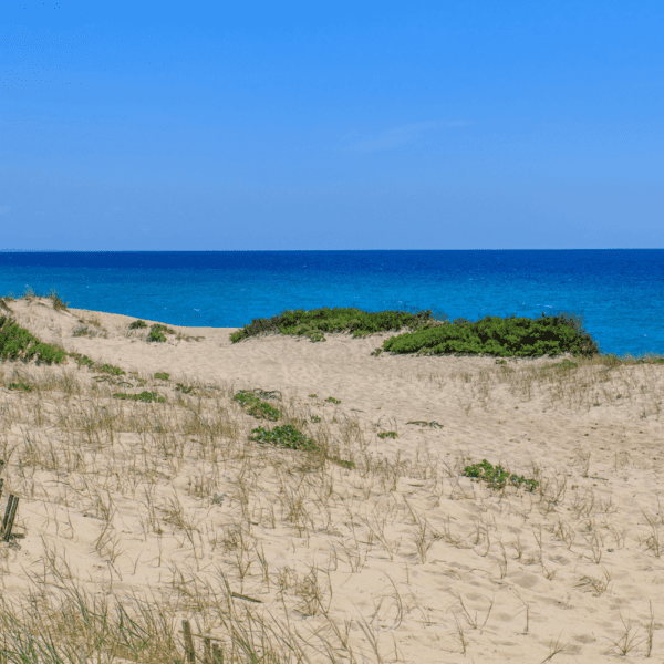 what to do in comporta portugal