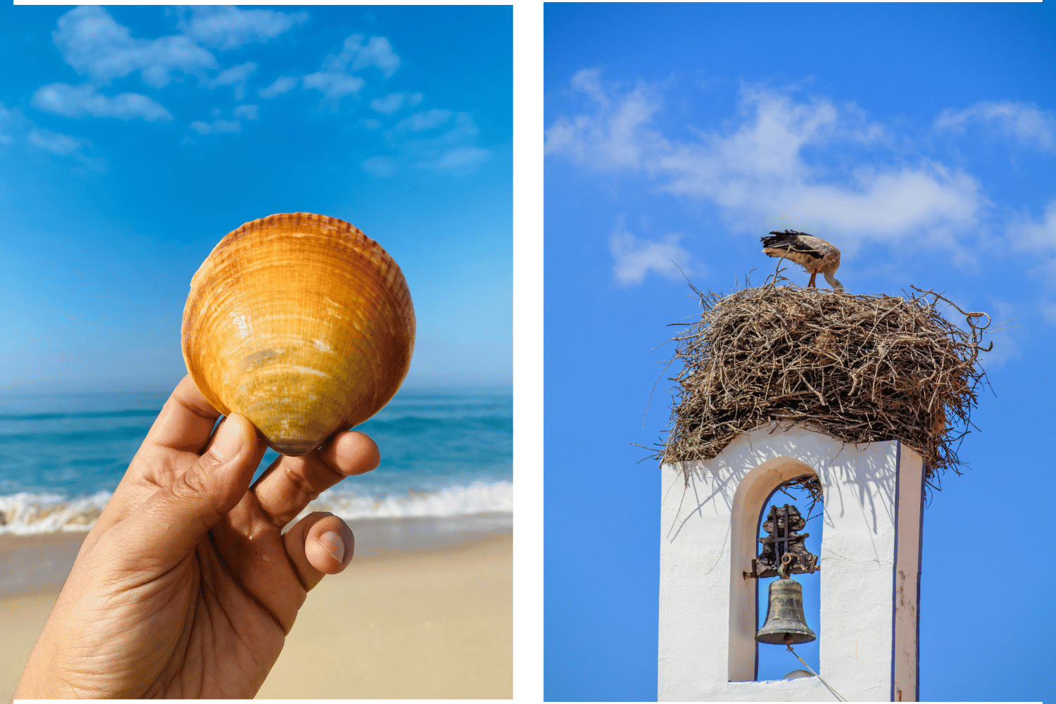 what to do in comporta portugal