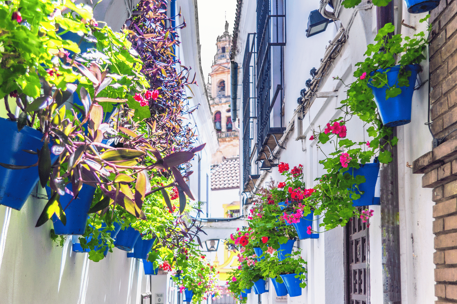 things to do in cordoba spain