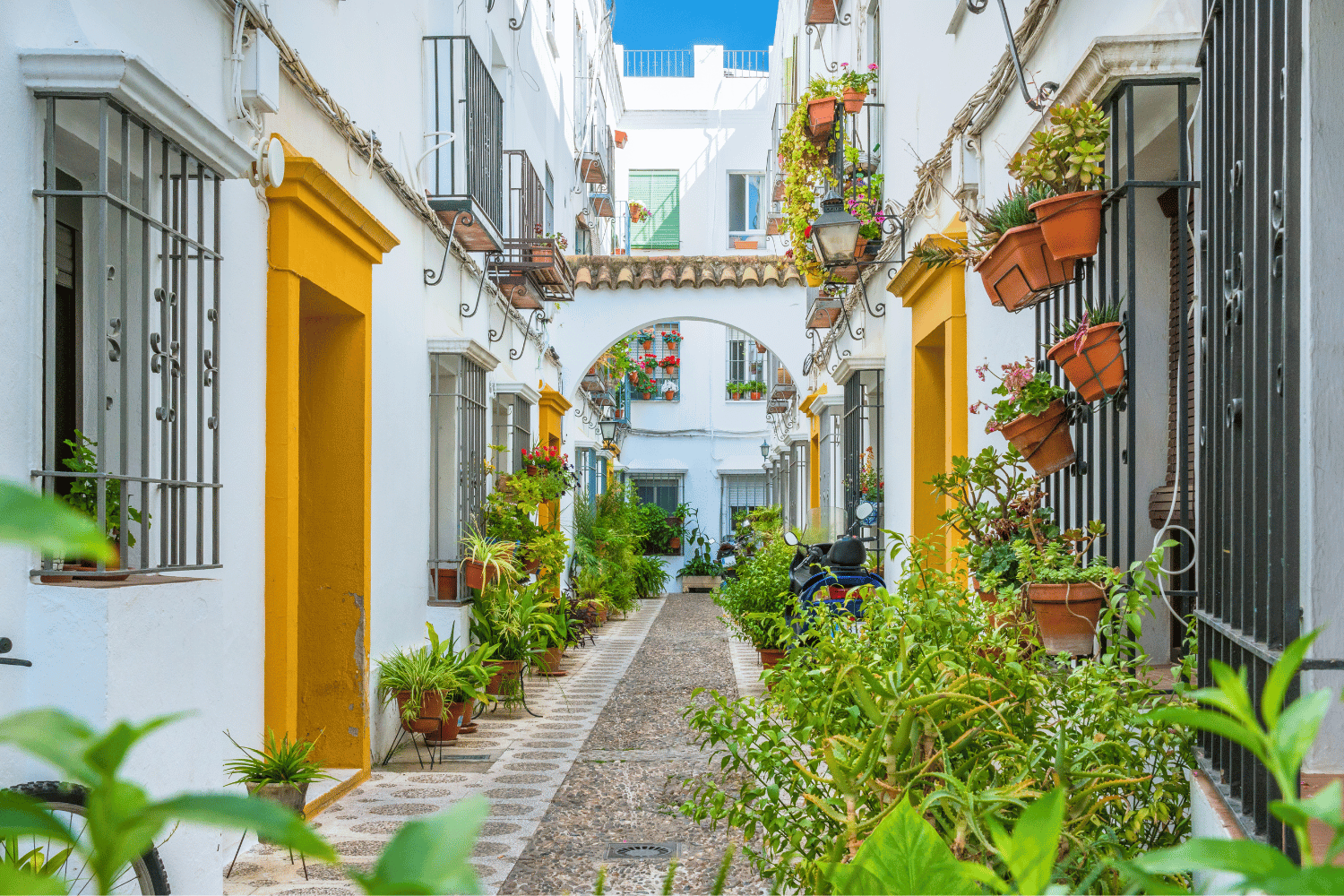 what to do in cordoba spain