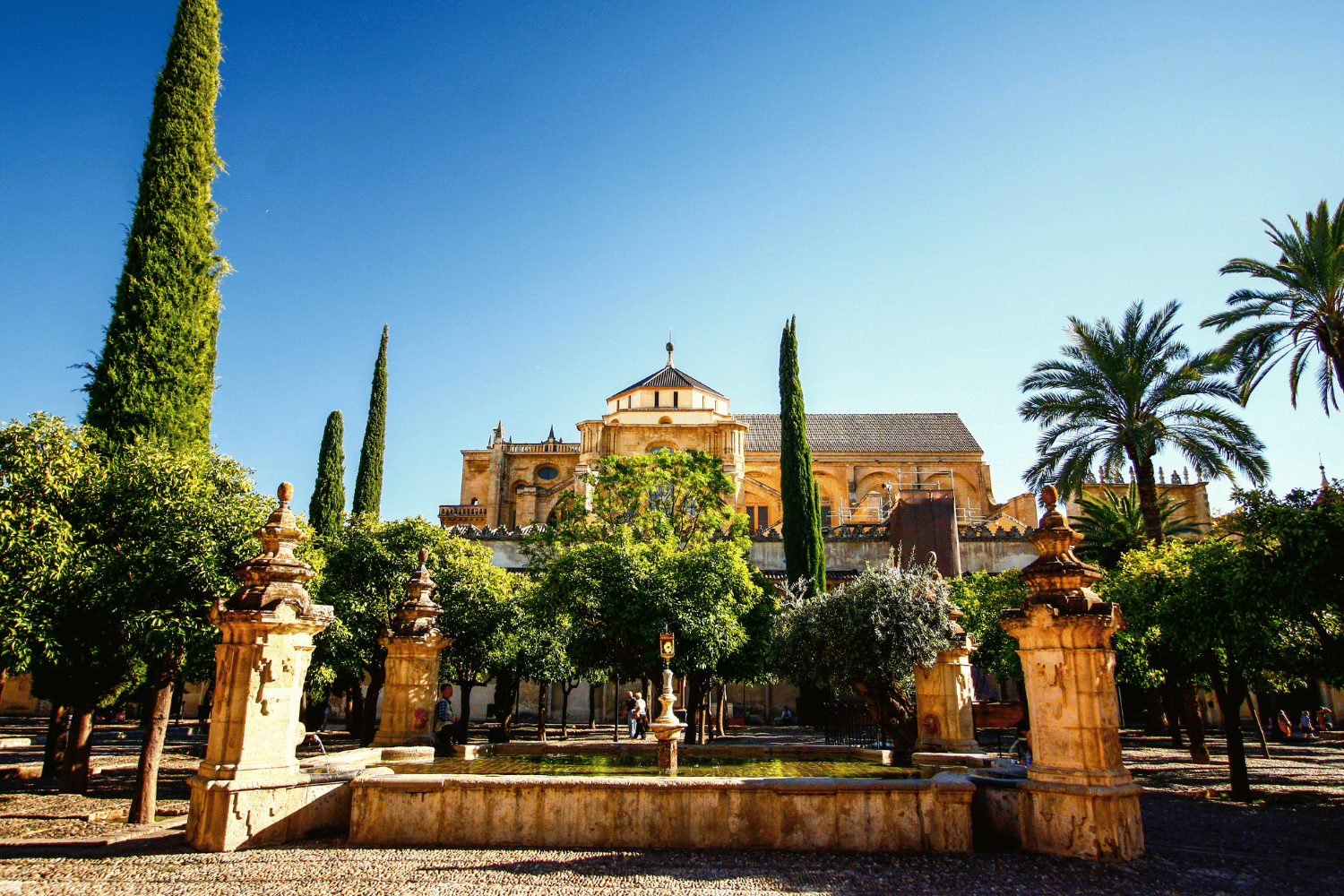 what to do in cordoba spain