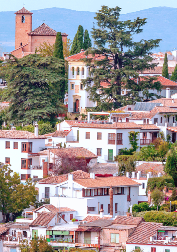 what to do in granada spain