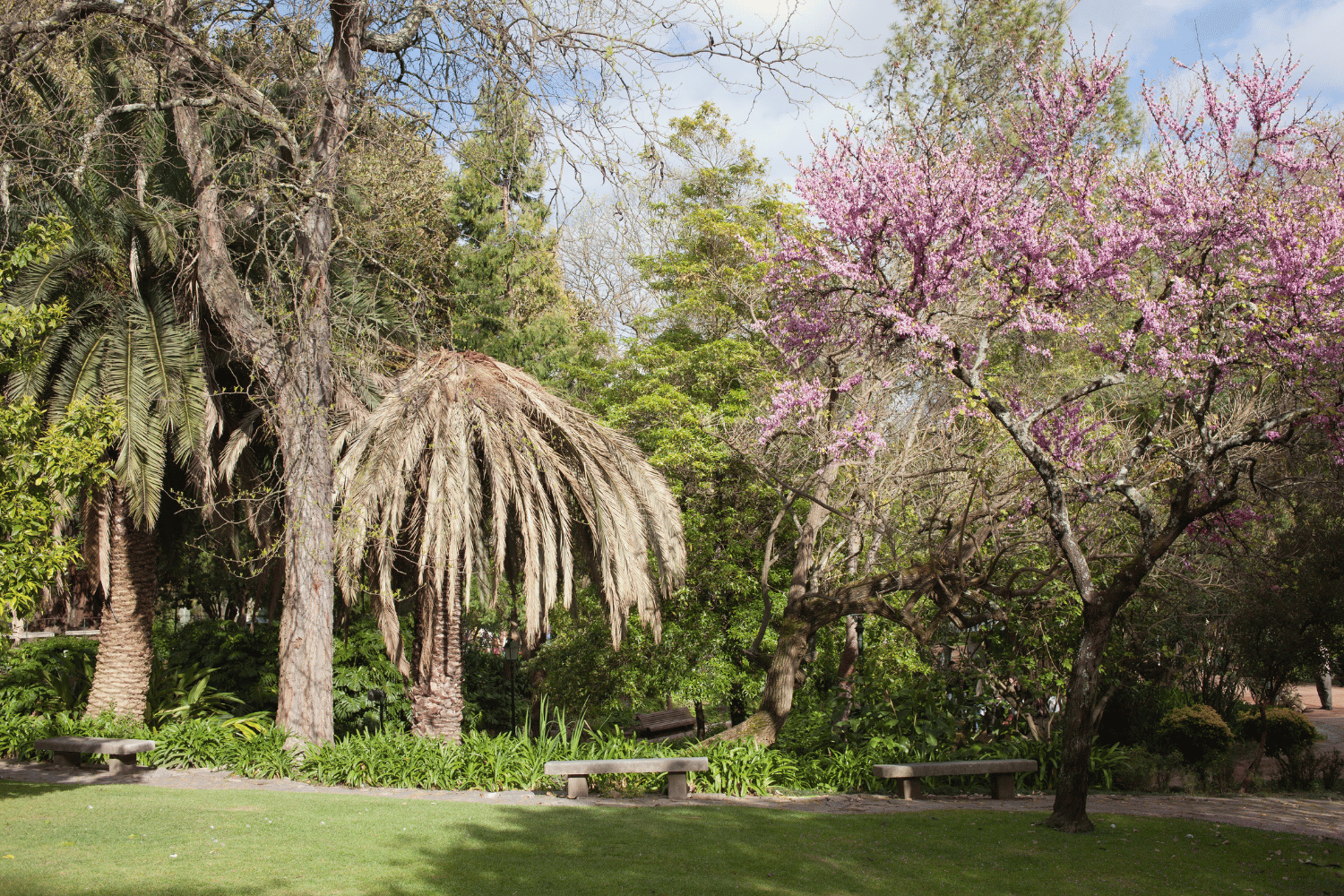 jardim da estrela