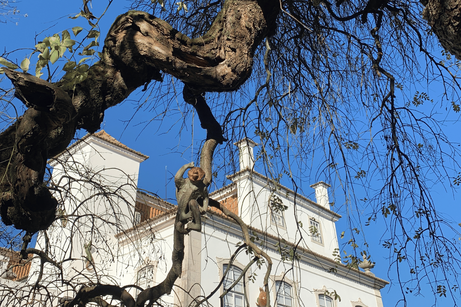 pimenta palace