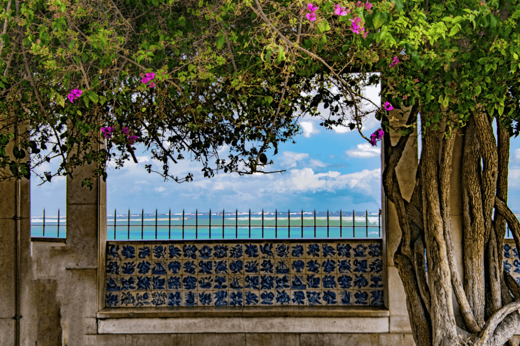 viewpoints in lisbon