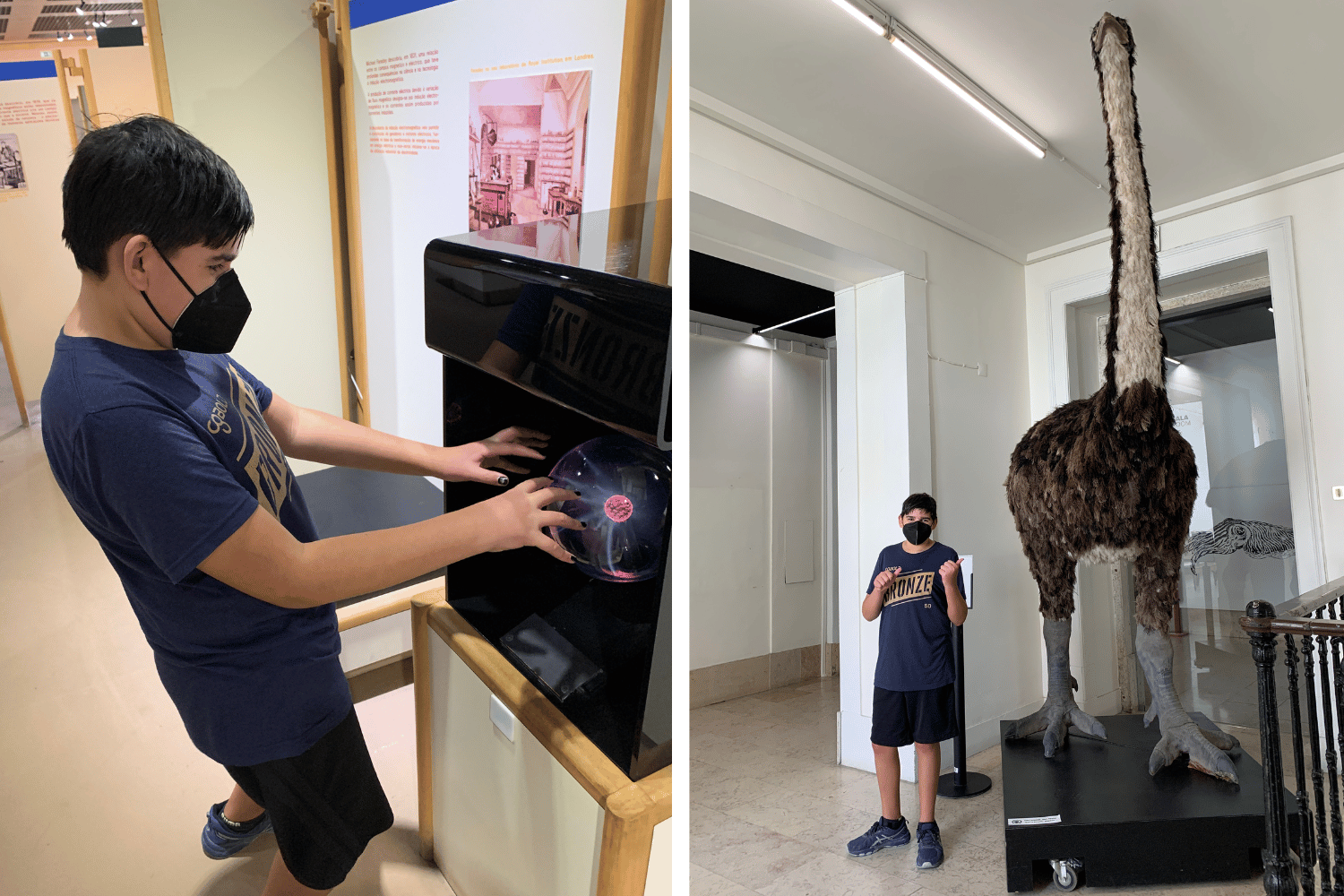 must see museums of lisbon