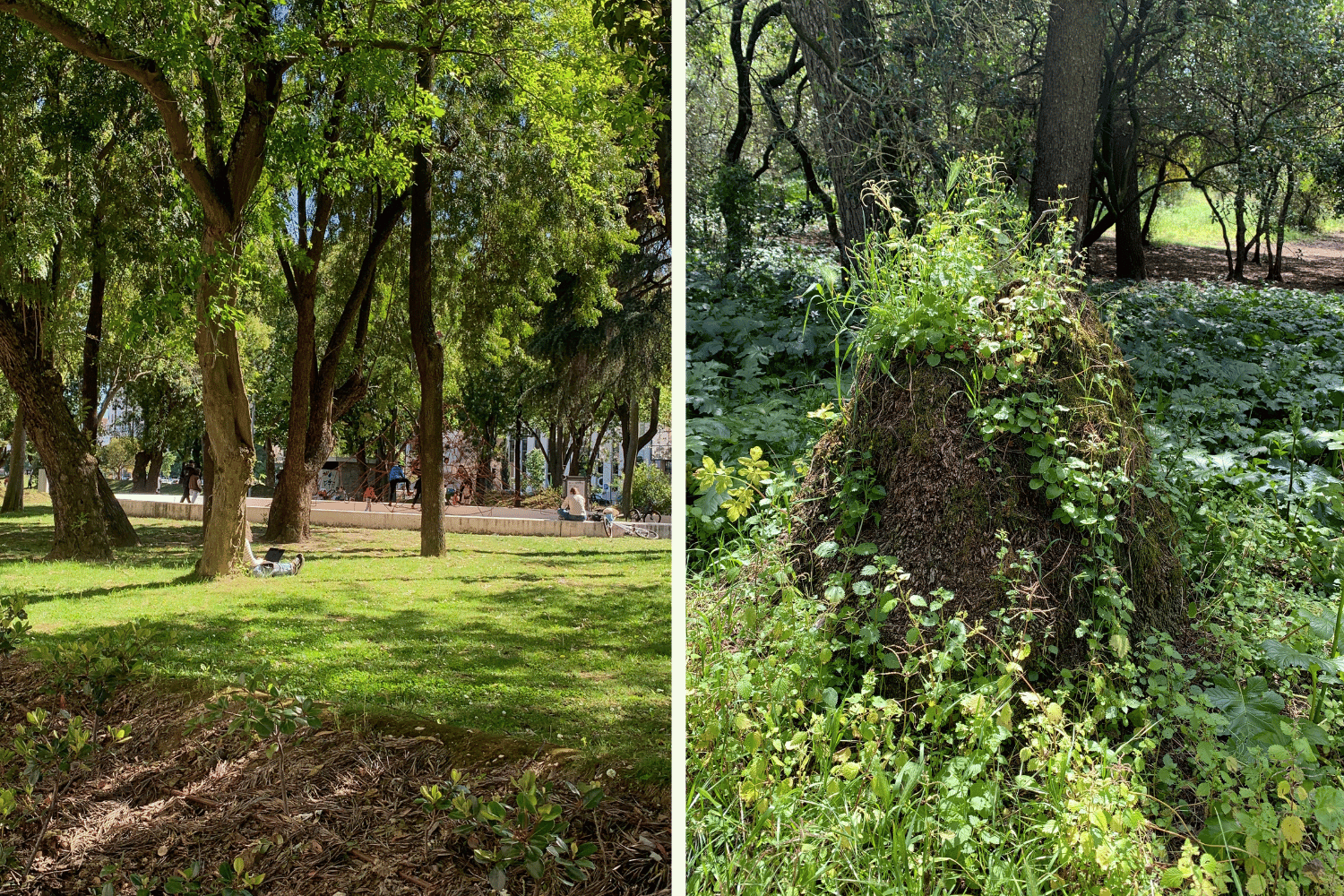 best parks of lisbon