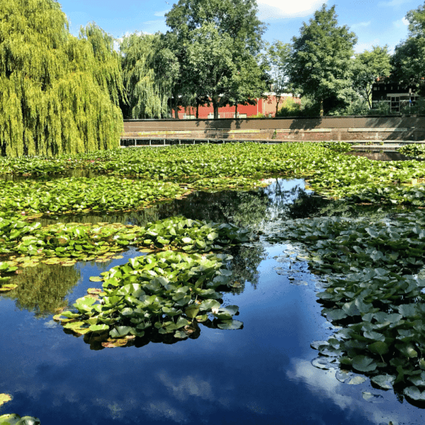favorite parks in amsterdam