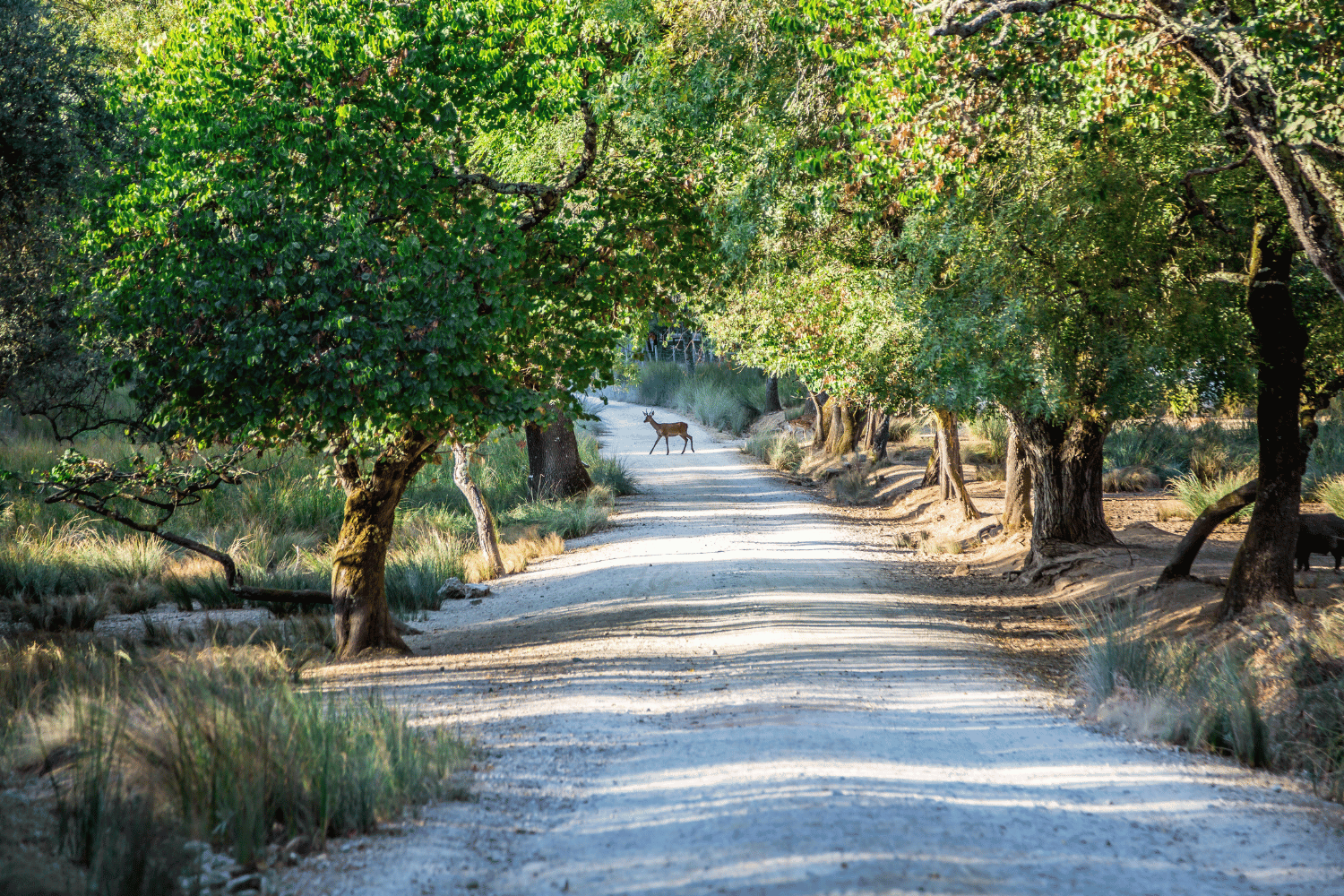 hiking in mafra portugal