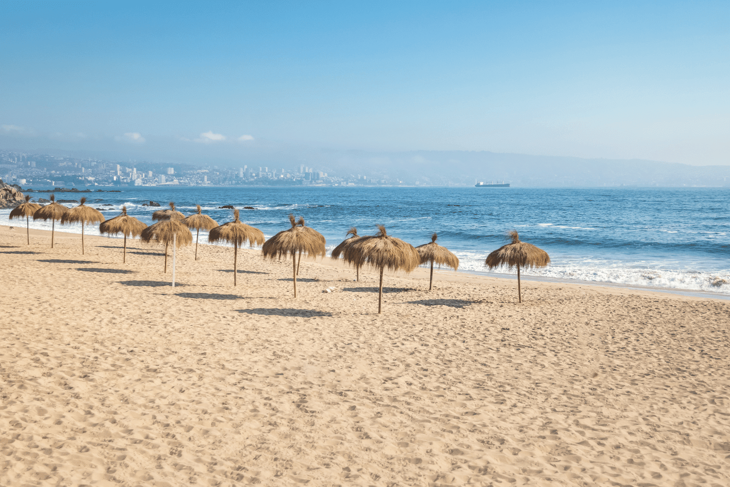 best things to do in vina del mar chile