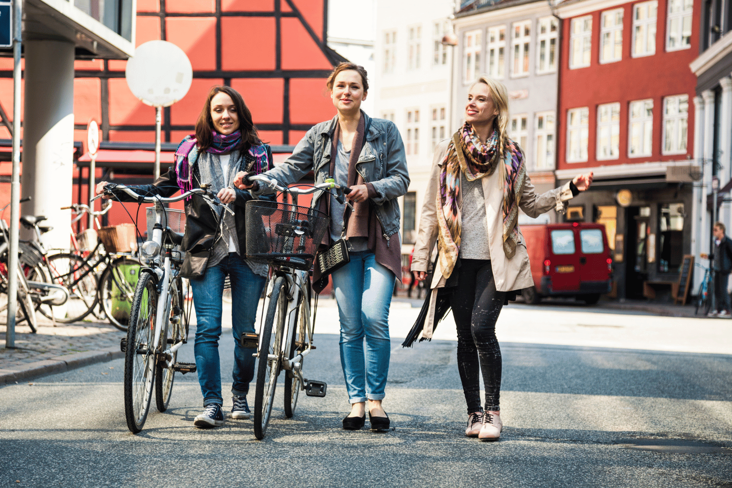 copenhagen bike tour