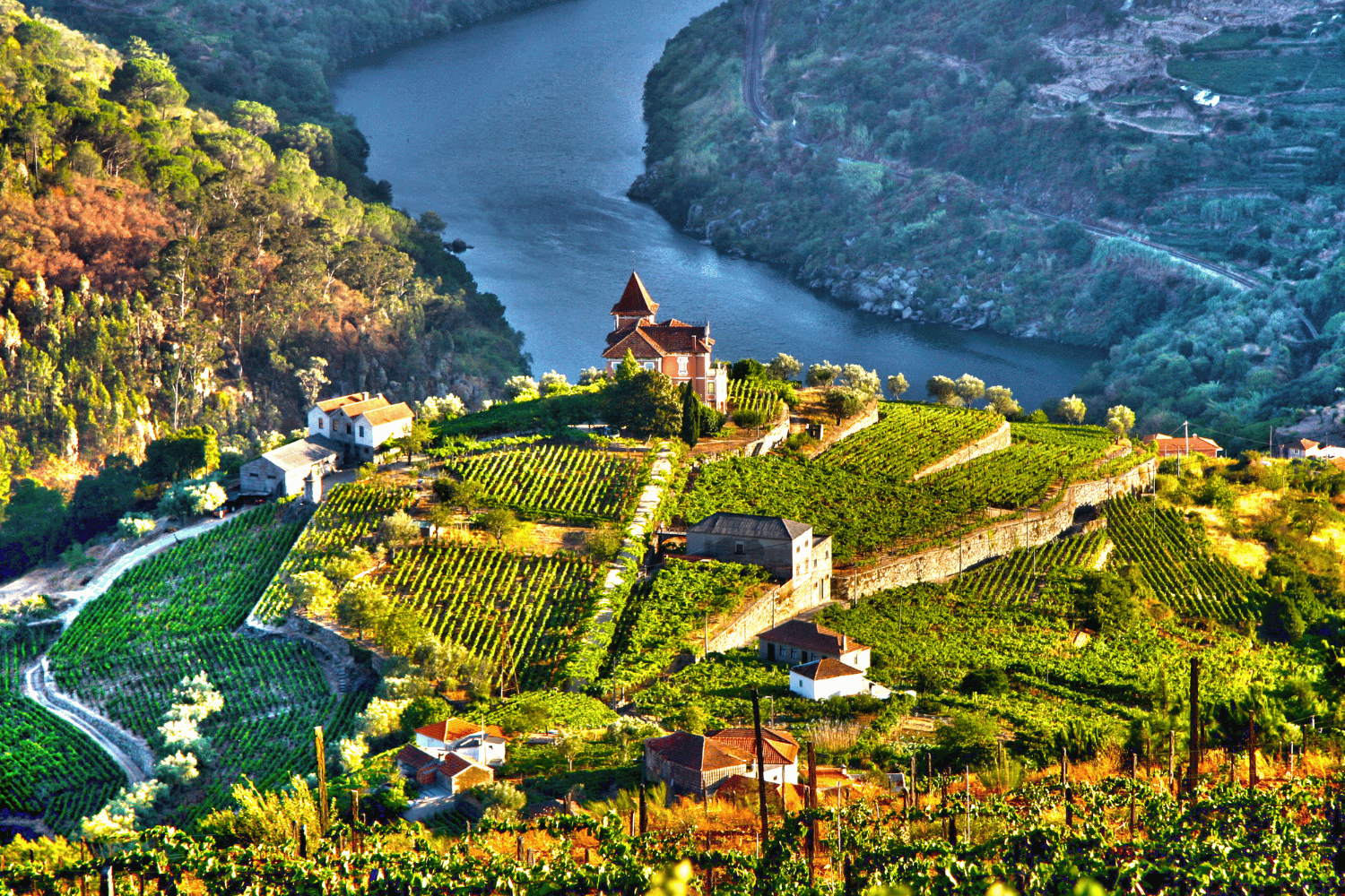 what to do in douro valley portugal
