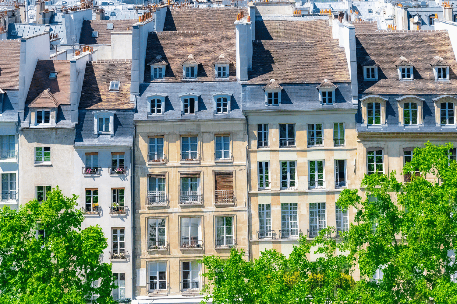 Instagrammable Hotspots in Paris