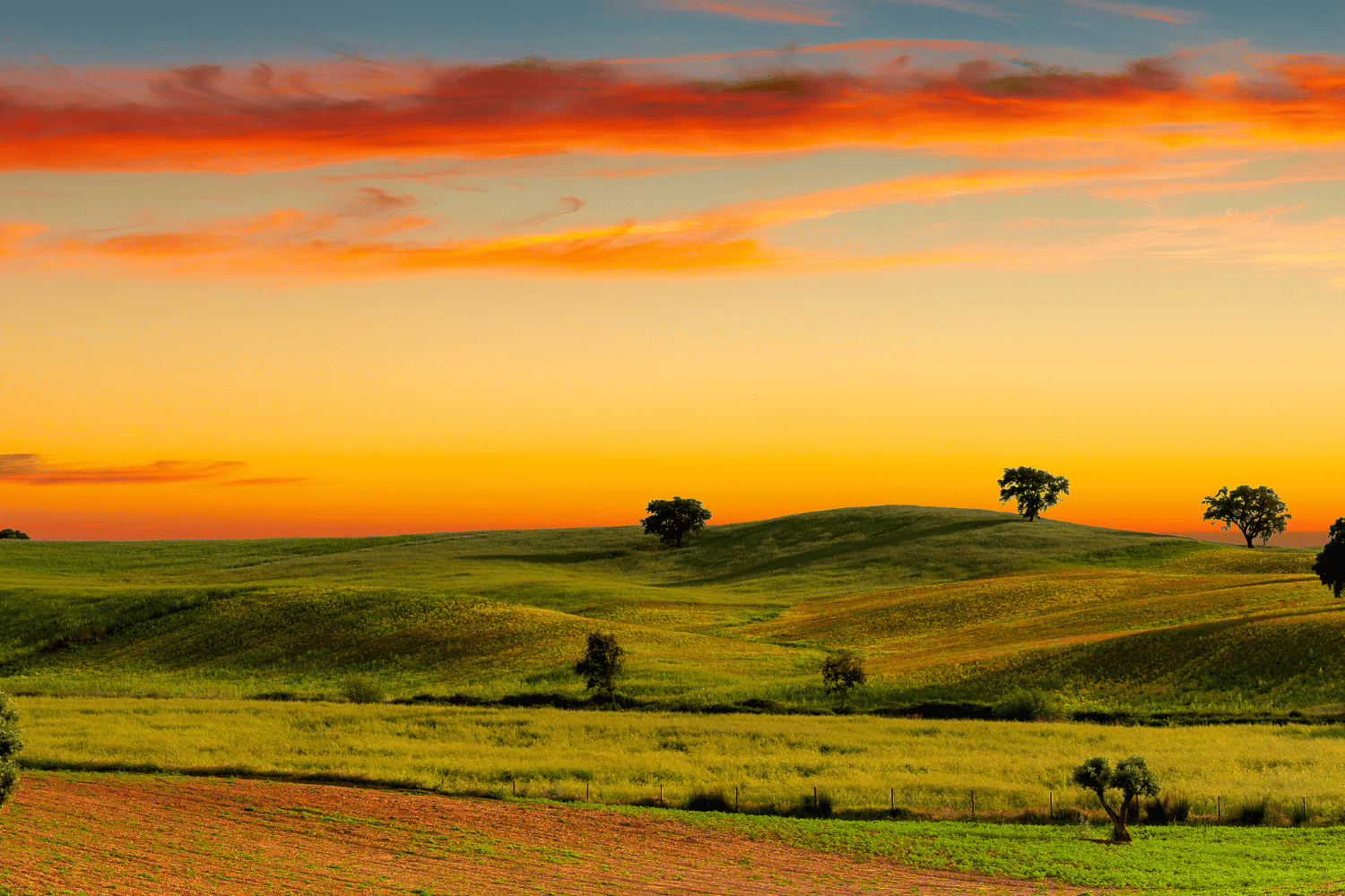 Alentejo
