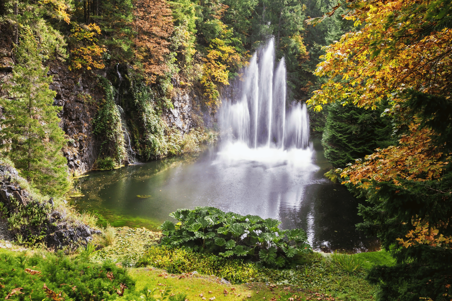 Fall trip to the United States