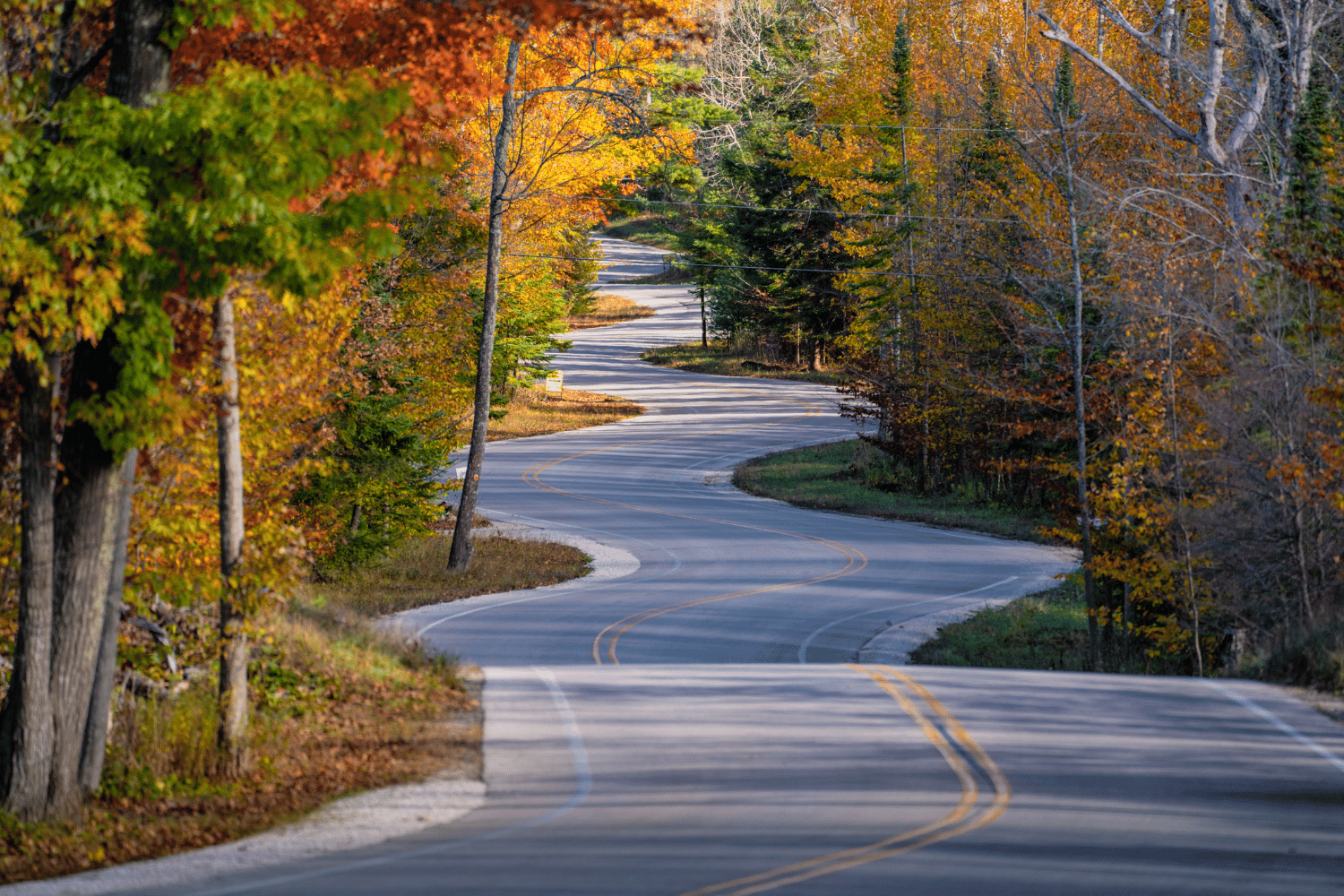 fall trip to the united states