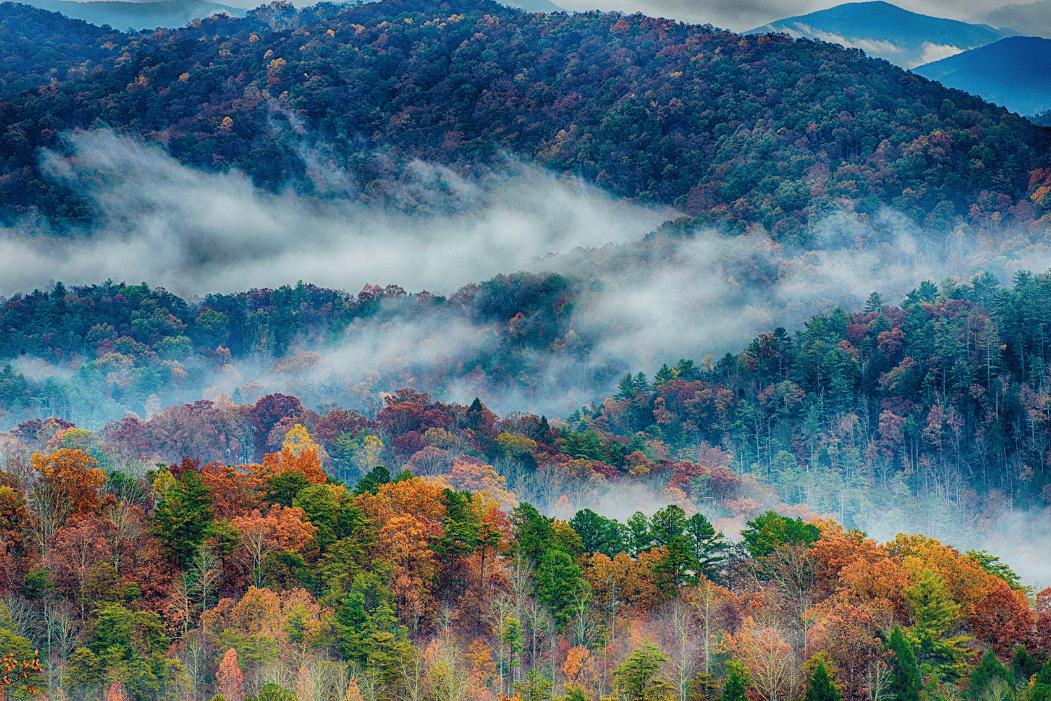 Fall trip to the US