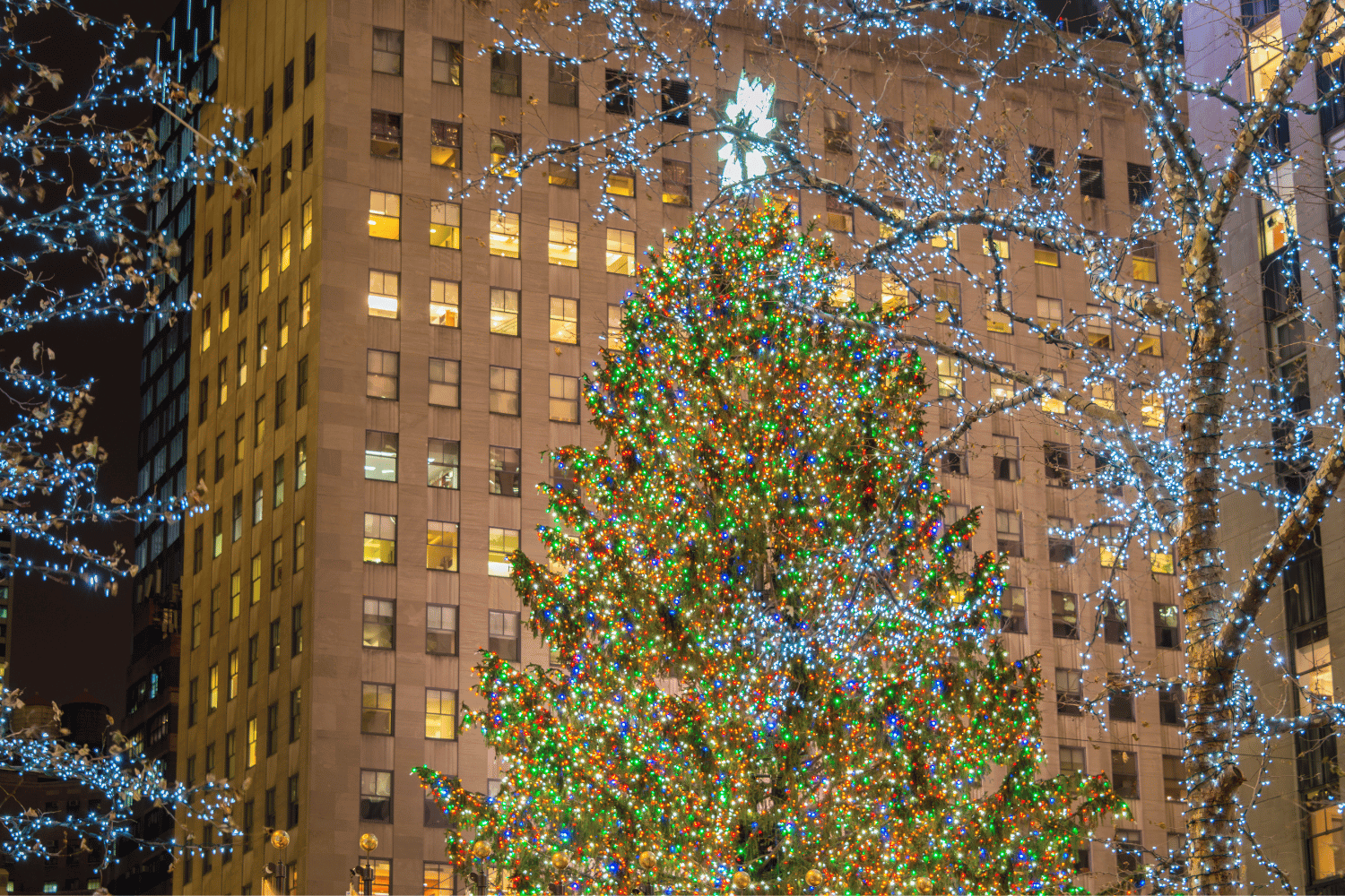 NYC Christmas tree