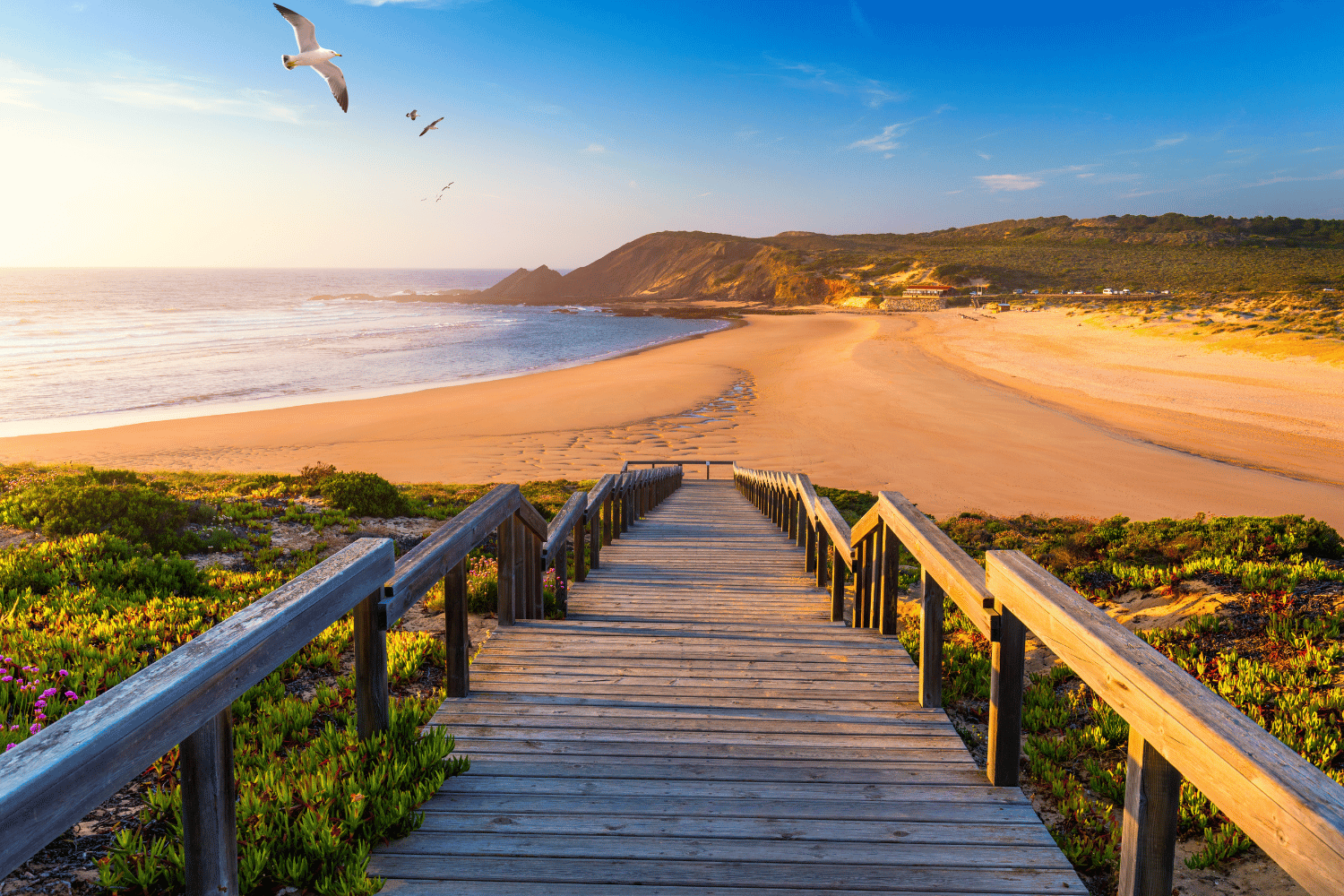 fun things to do in aljezur