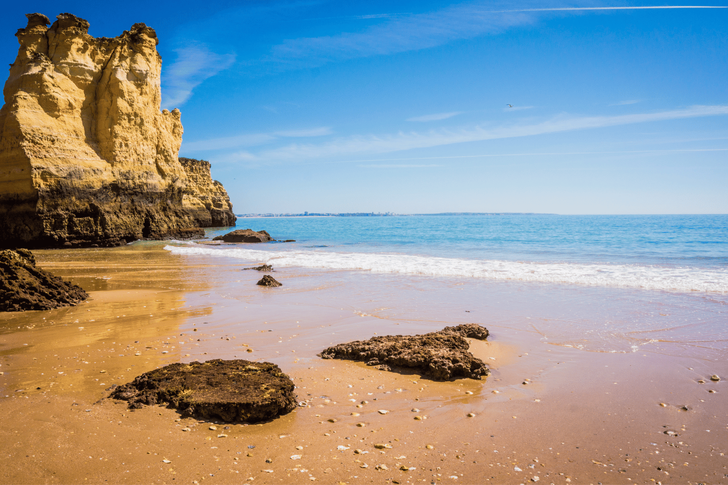 unique things to do in lagos portugal