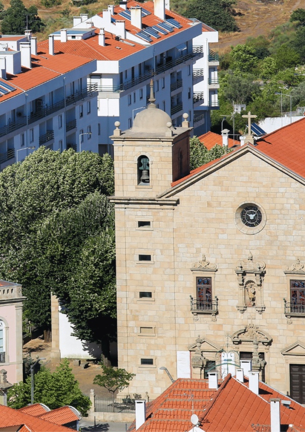 Escape the Ordinary: 7 Unique Experiences in Castelo Branco, Portugal