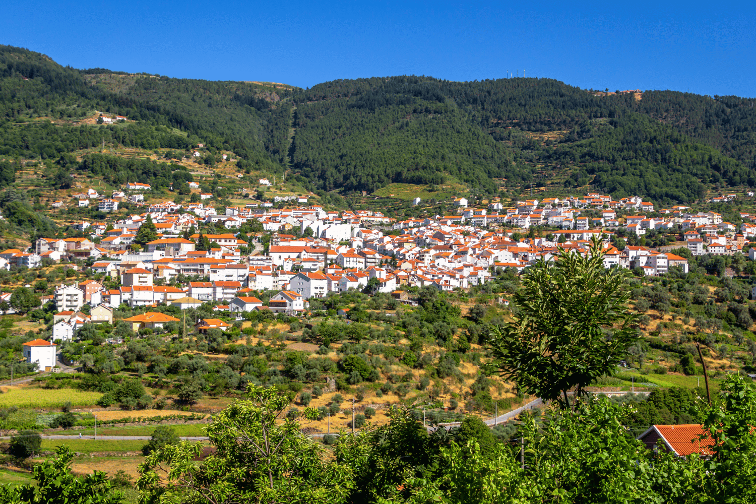 Serra da Estrela Portugal