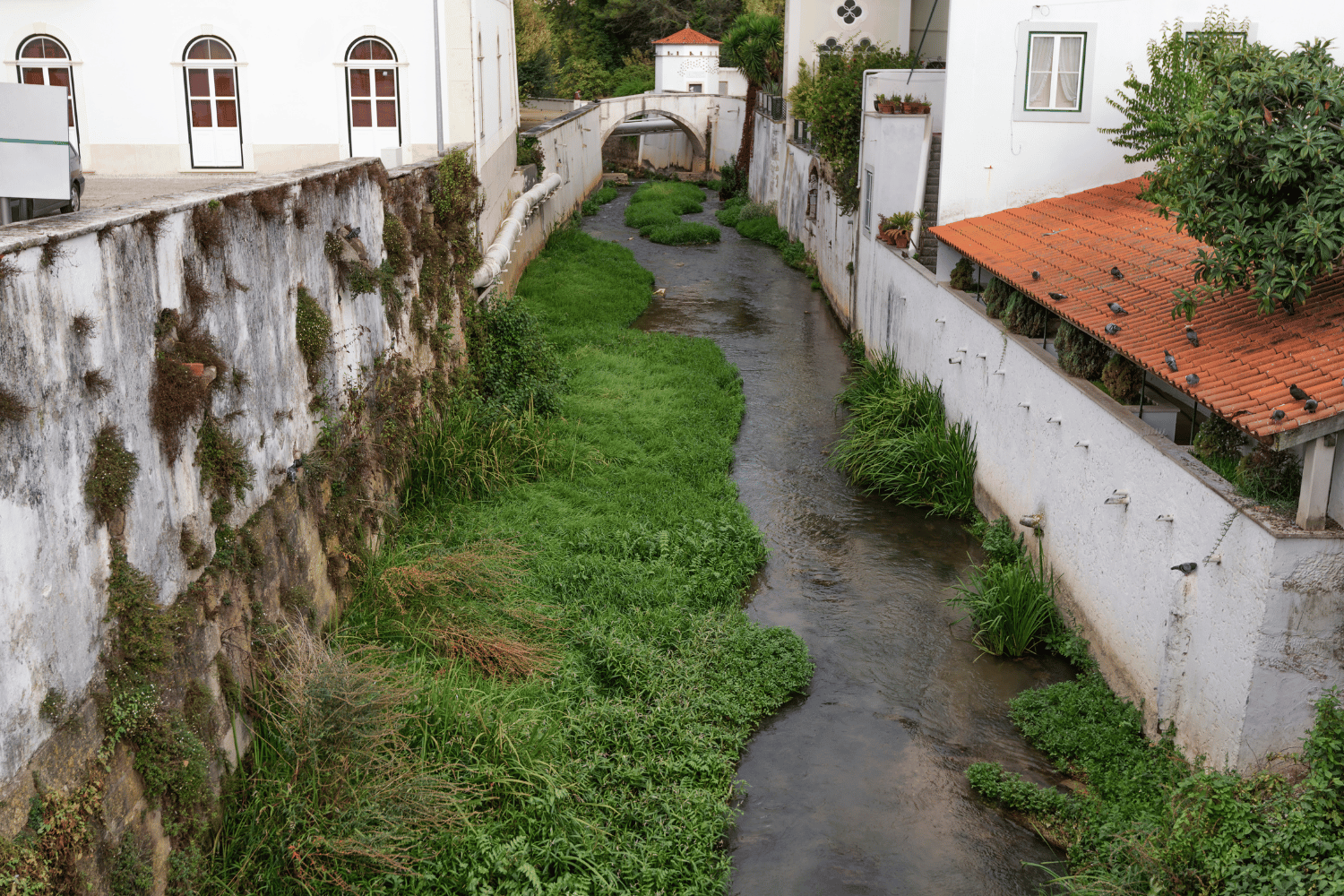 River in alcobaca portugal