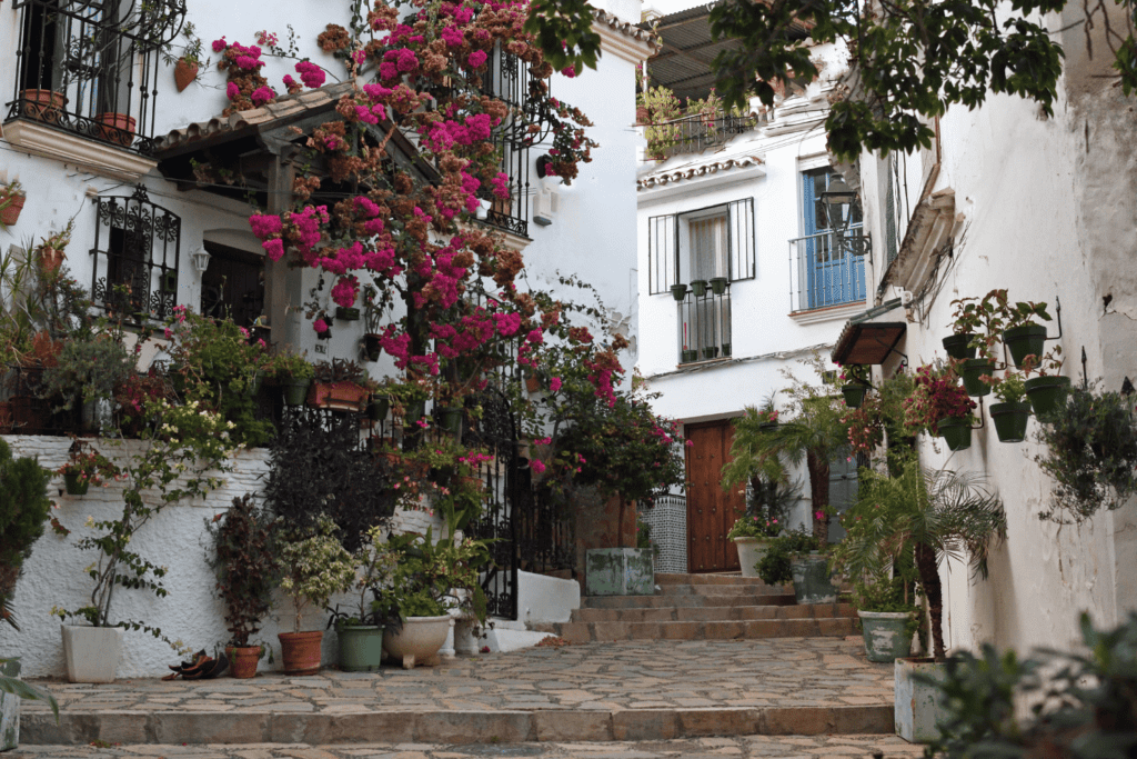 best things to do in estepona