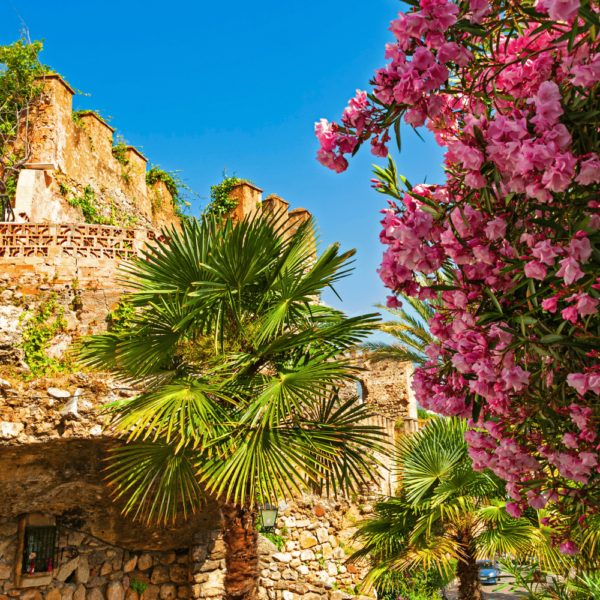 marbella historical center