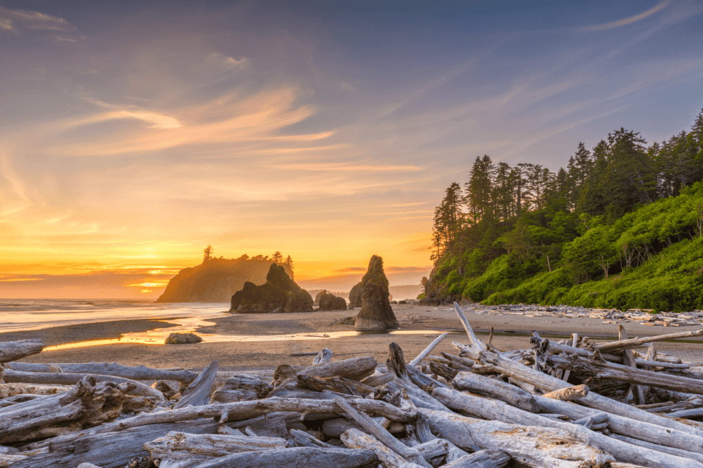 best spring break destinations in usa