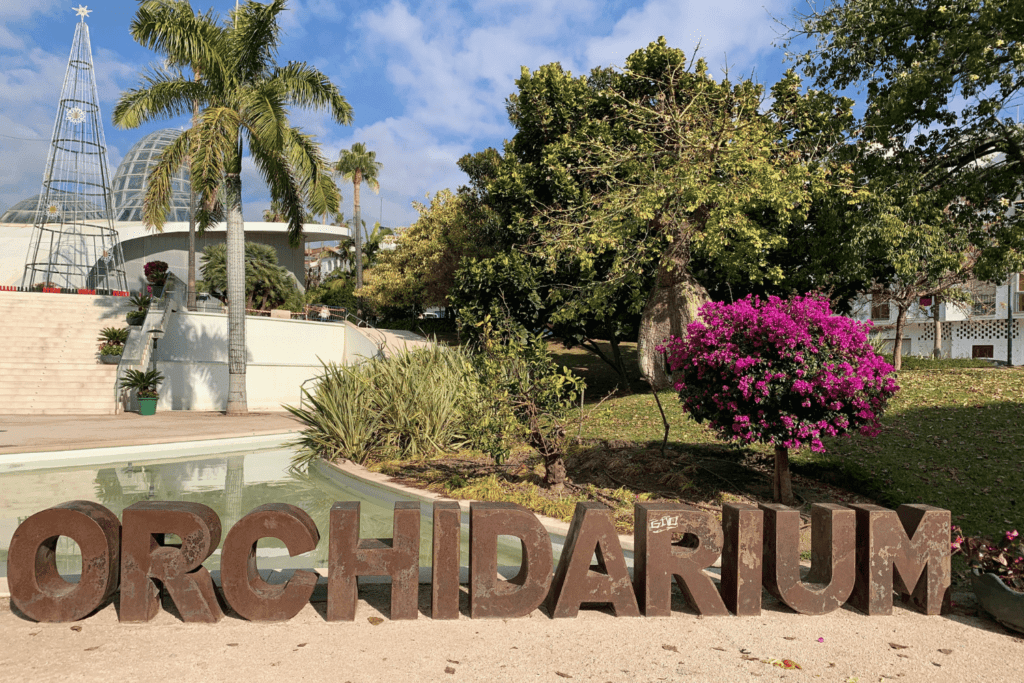 unique things in estepona