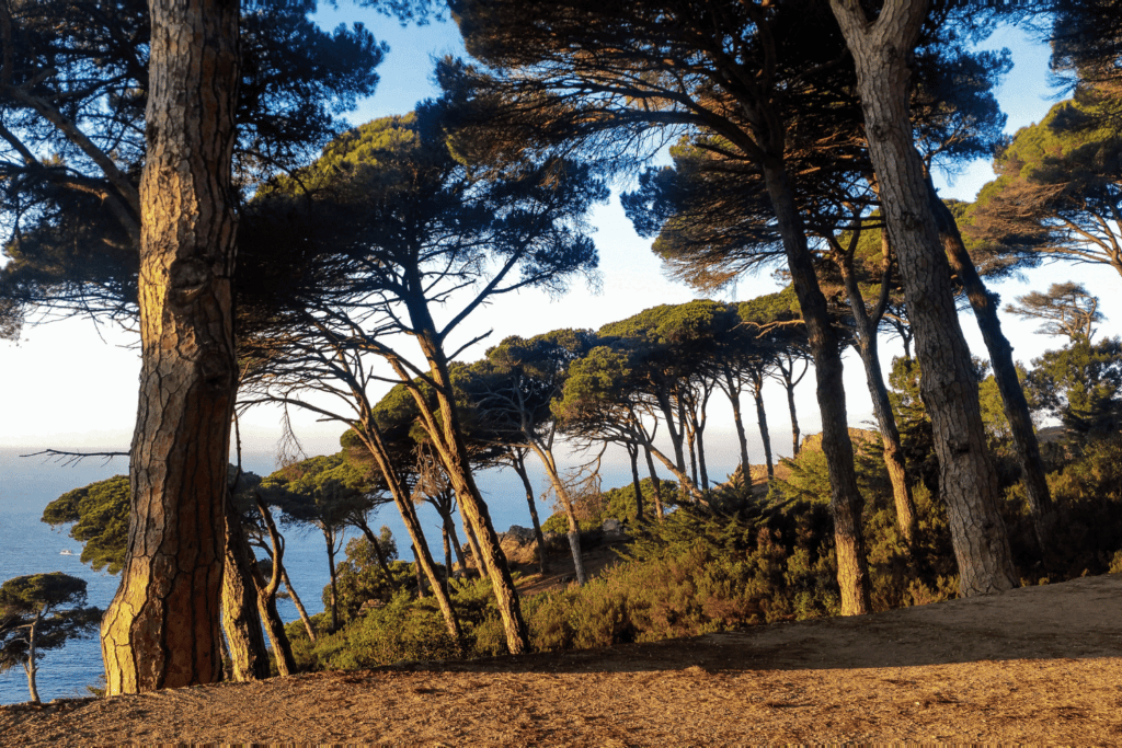 what to do in tangier