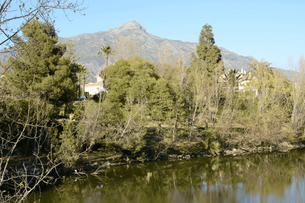 things to do in marbella