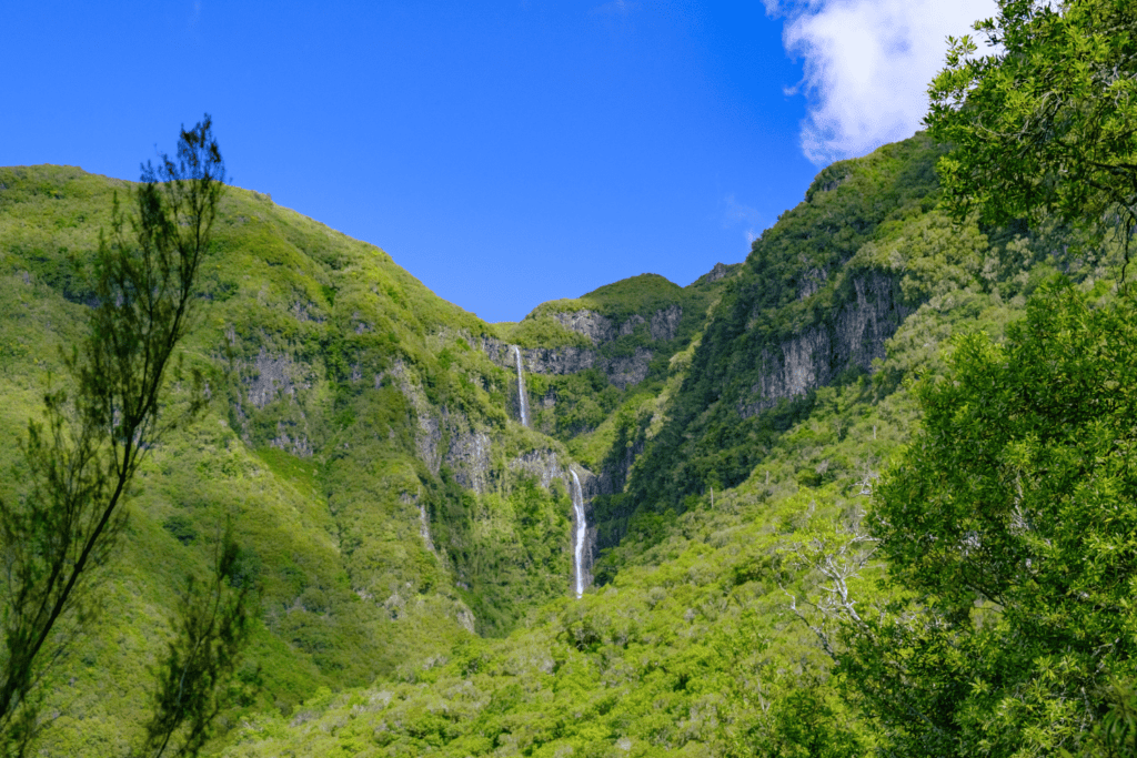 things to do in madeira portugal