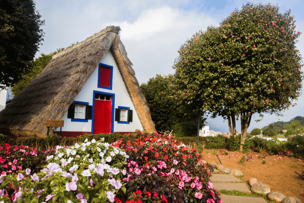 cool houses in madeira