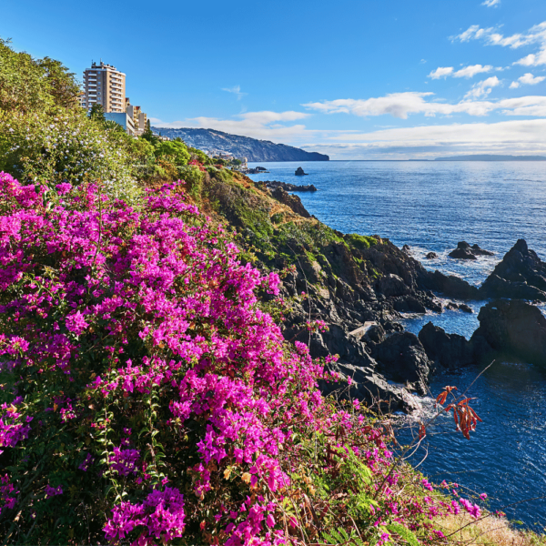 best 20 resorts and hotels in portugal