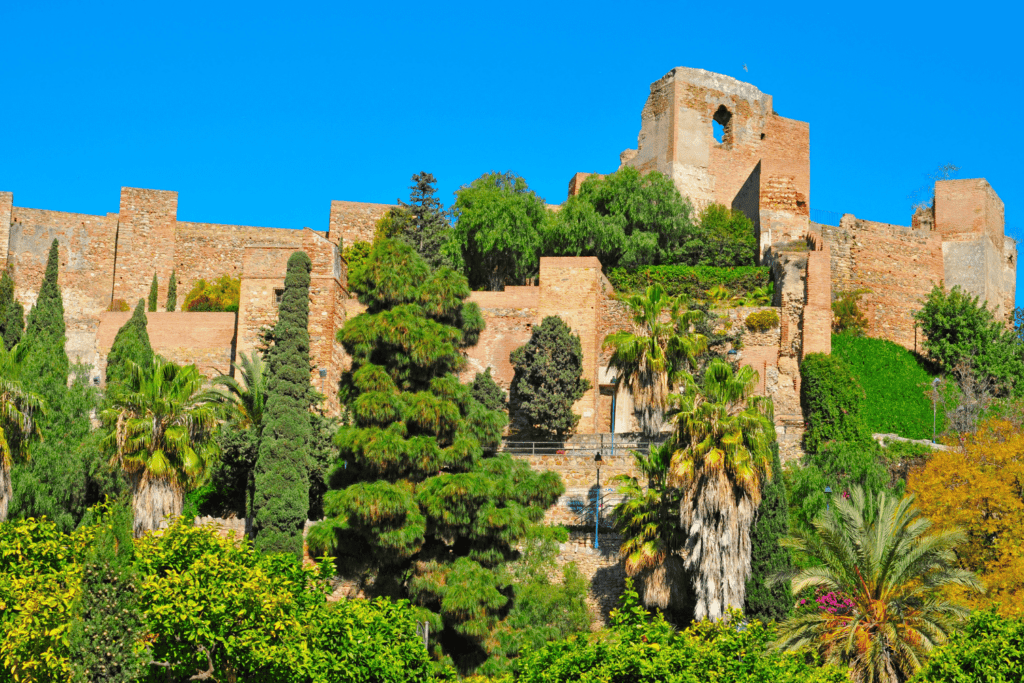 what to do in malaga spain