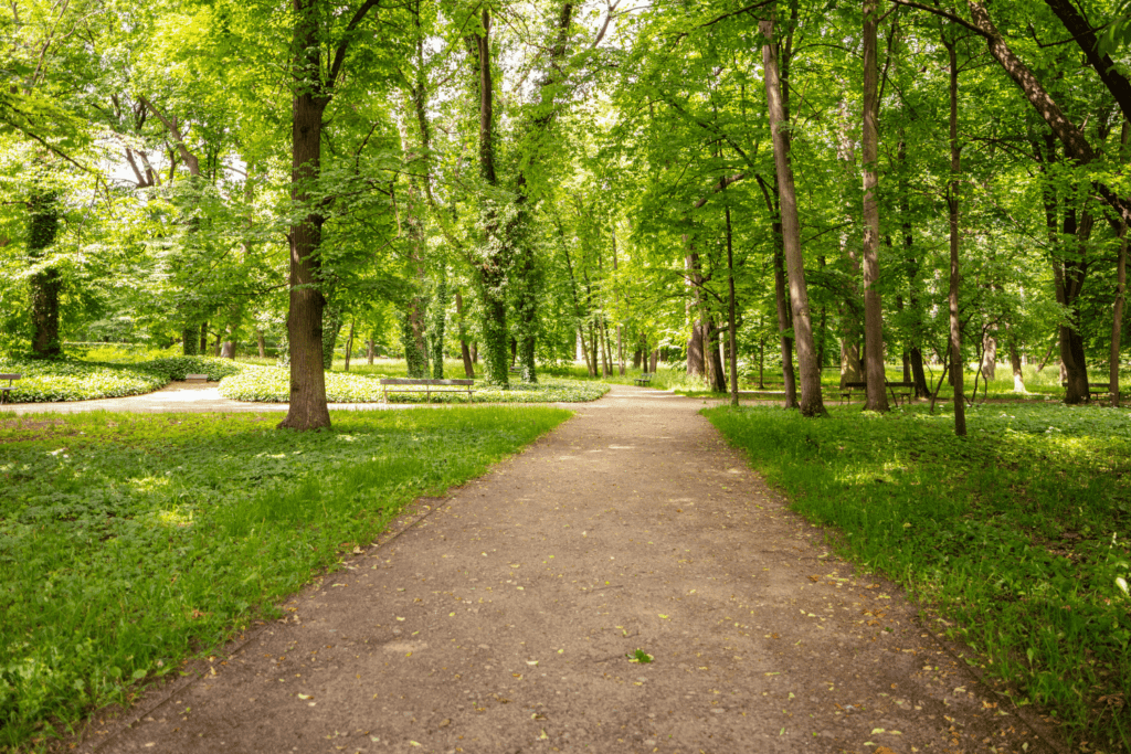 what to do in warsaw